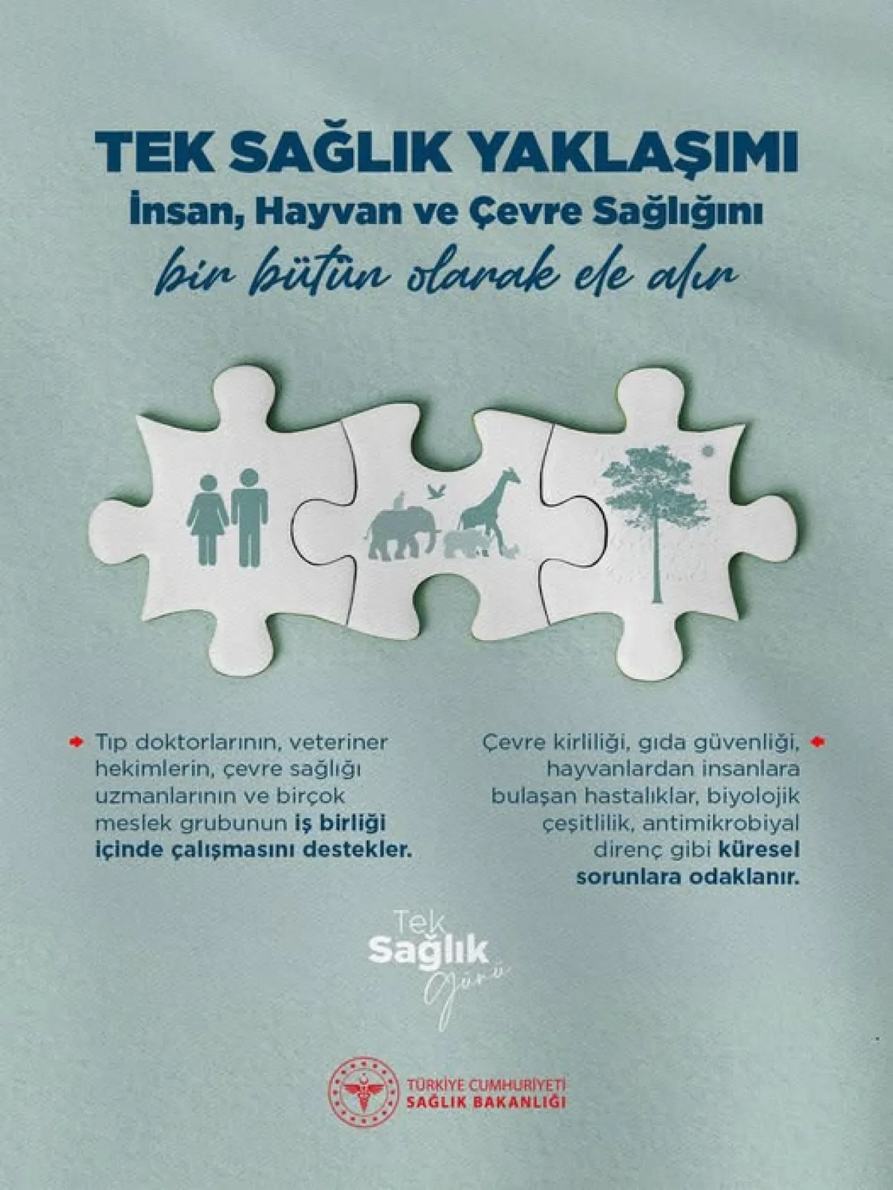 Türkiye'de Tek Sağlık Yaklaşımı Gündeme Geliyor: İnsan, Hayvan ve Çevre Sağlığı Bir Bütün Olarak Ele Alınıyor